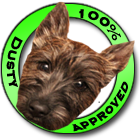 Website Design Dusty Approved