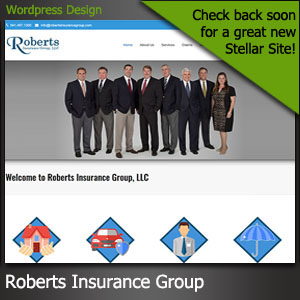 Roberts Insurance Group Venice Florida website design