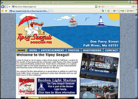 Tipsy Seagull